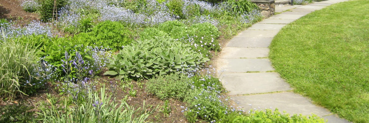 camminamenti giardini